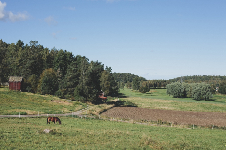 Vallby Friluftsmuseum fotograf Henrik Mill