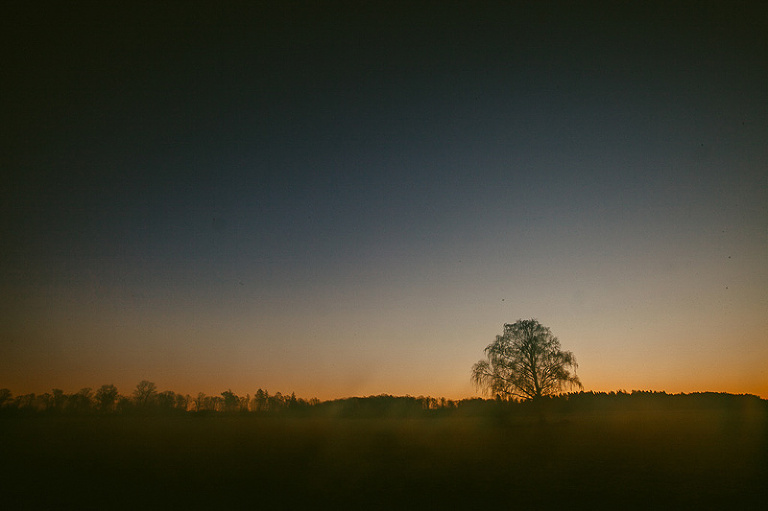 Sista soluppgången 2013, Lonely tree