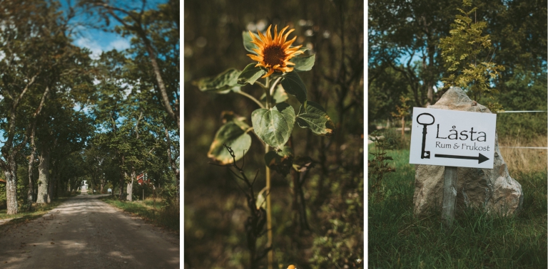 Bröllop Strängnäs Låsta Säteri Swedish Wedding Fotograf Hen