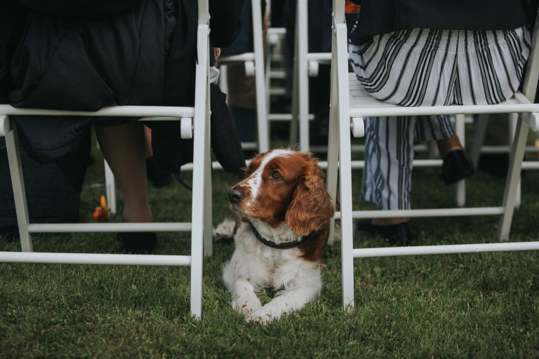 068-melody_martin_swedish_wedding_brollop_hem_till_garden_vasteras_fotograf_henrik_mill